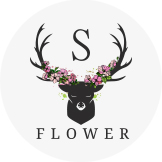 משלוחי פרחים בחיפה סלון פרחים