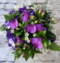 זר סחלב אביבי