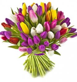 זר פרחים טוליפים Exclusive