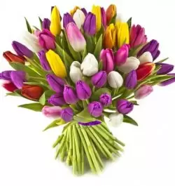 זר פרחים טוליפים Exclusive