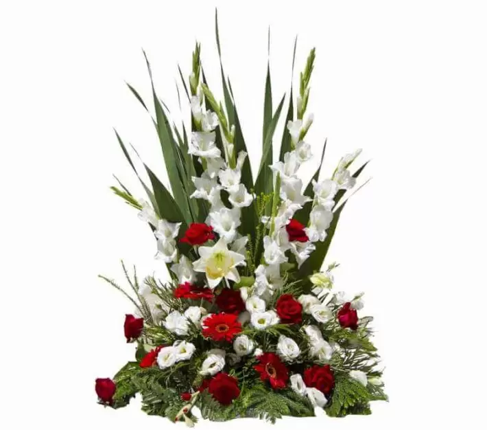 סידור סייפינים אדום לבן סידור רומיאו לג'ולייטה