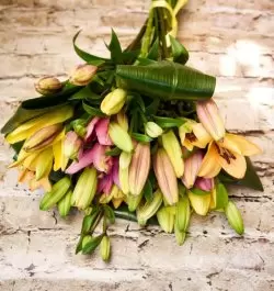 זר קזבלנקה זר פרחים קזבלנקה