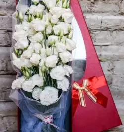 קופסת פרחים קורל