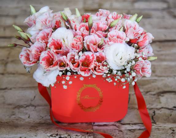 תיק ליזיאנטוס חלומי