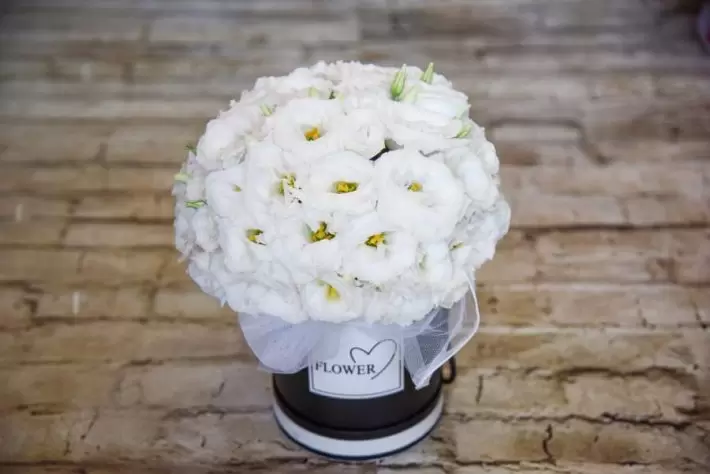 קופסת המשאלות קופסת פרחי ליזיאנטוס