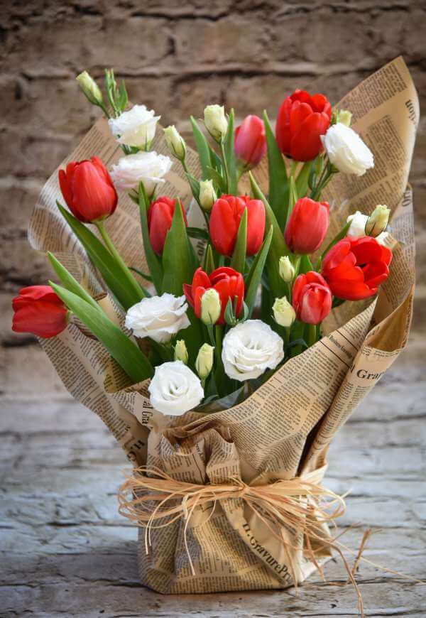 סידור אביב כפרי סידור אביב כפרי