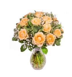 אהבה צבע שמנת