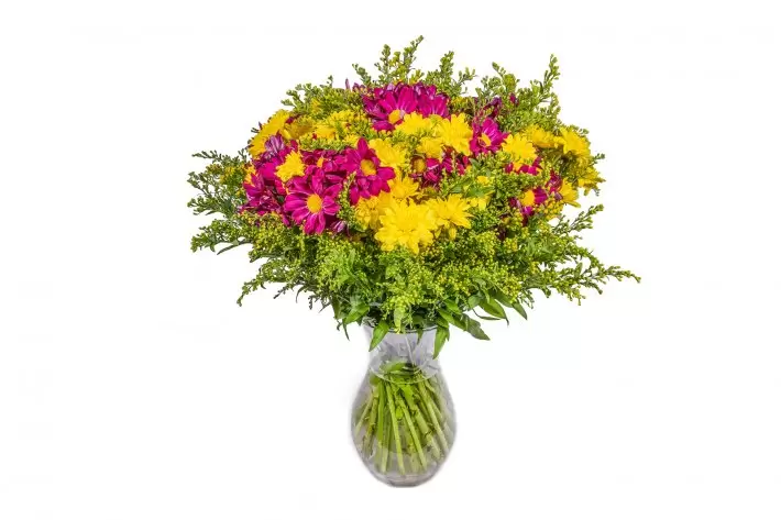 זר-חרציות-צבעוני-140,180,220 זר חרציות צבעוני