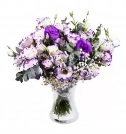 ליזיאנטוס סגול