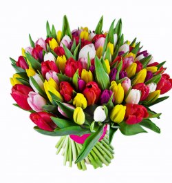 זר טוליפים ענק