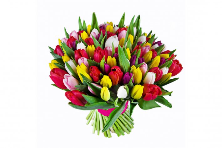 זר טוליפים ענק