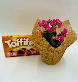 ניצנית ורודה