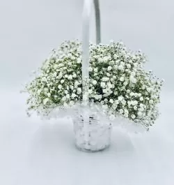 סלסלת גיבסניות לבנות