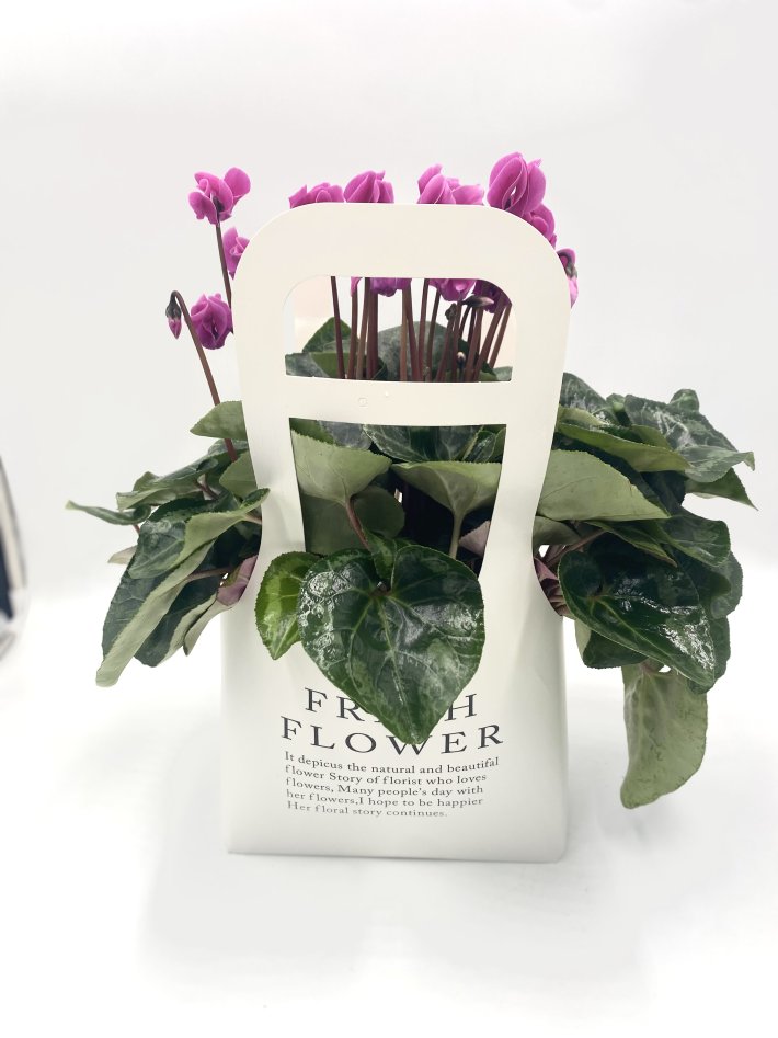 סלסלת רקפות