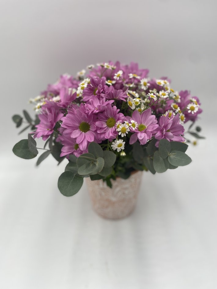 סידור פרחים סיגלי