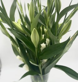 זר פרחים צחור באגרטל